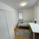 Podkarpacka 50 Проживание в семье *